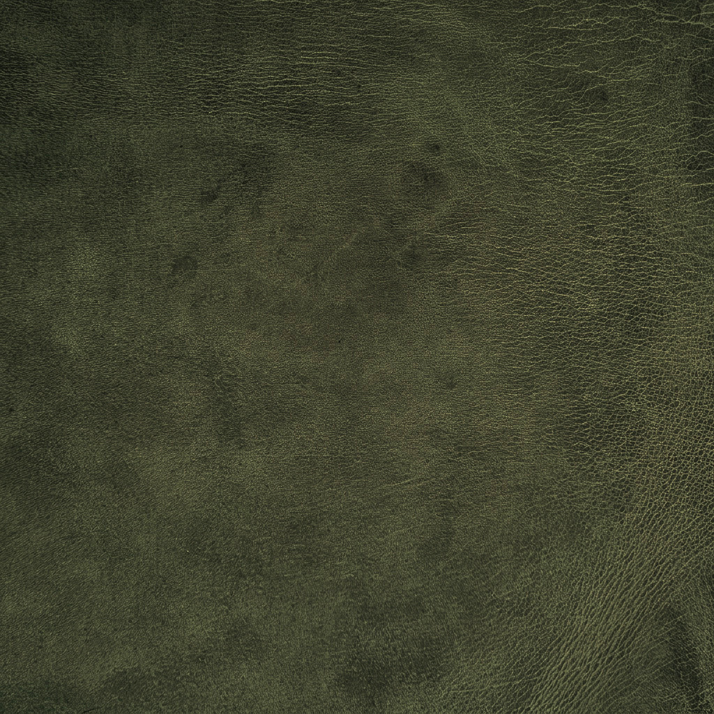 Lederkollektion PREMIUM SHADED, Farbe SHADED  EVERETT GREEN