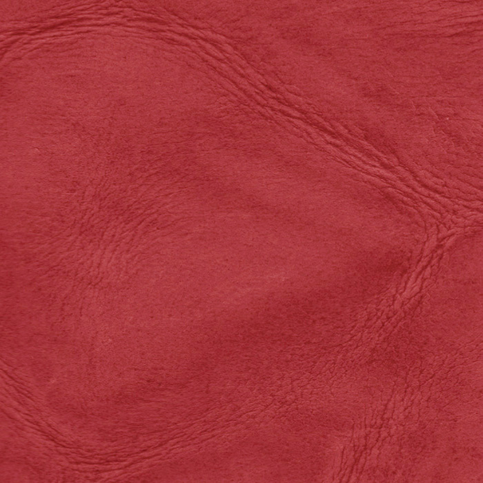 Lederkollektion SKINNY, Farbe ARDENT RED.
