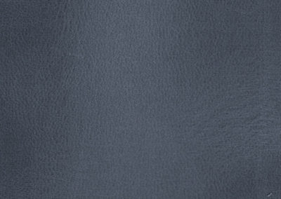 Lederboden und Lederwand MARLIN BLUE