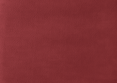 Lederboden und Lederwand HIGH END | MERLOT